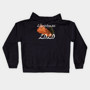 2020 Christmas Tree Fire Kids Hoodie